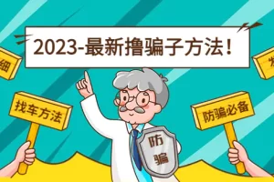 最新反撸骗子方法日赚200+【13个超详细找车方法+发车渠道】视频教程+文档