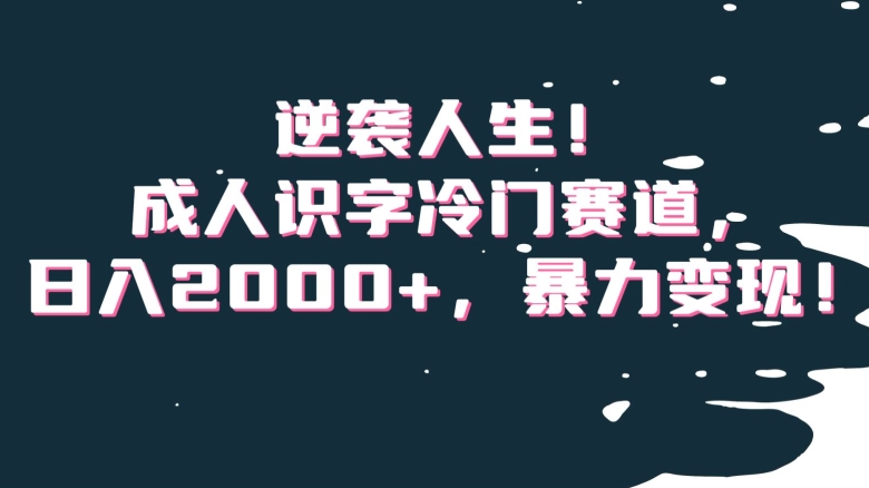 逆袭人生！成人识字冷门赛道，日入2000+，暴力变现！