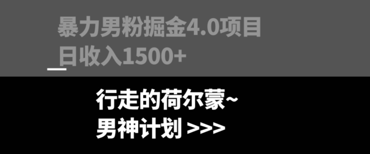 暴力男粉掘金4.0项目，不违规不封号，无脑复制，单人操作日入1000+