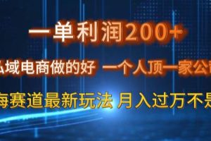 一单利润200私域电商做的好，一个人顶一家公司蓝海赛道最新玩法