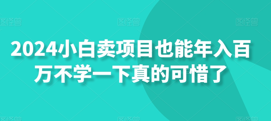 2024小白卖项目也能年入百万，不学一下真的可惜了