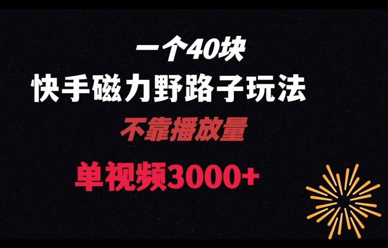 一个40块，快手联合美团磁力新玩法，无视机制野路子玩法，单视频收益4位数