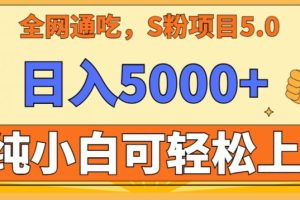 男粉项目5.0，最新野路子，纯小白可操作，有手就行，无脑照抄，纯保姆教学